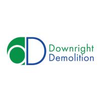 Downright Demolition image 6